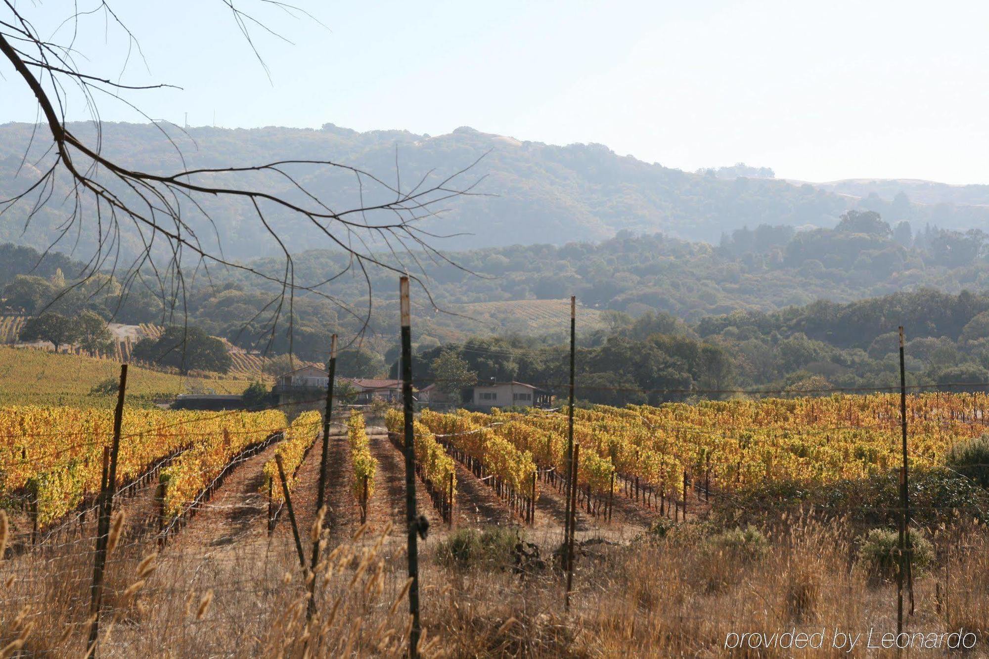 Hampton & - Sonoma County 3* Rohnert Park